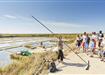 Visit the salt marshes of the Guérande Peninsula