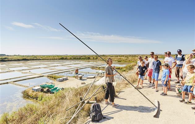 Visit the salt marshes of the Guérande Peninsula - 